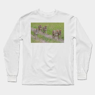 Five Cheetah Long Sleeve T-Shirt